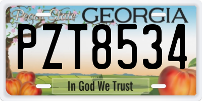 GA license plate PZT8534