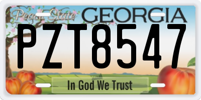 GA license plate PZT8547