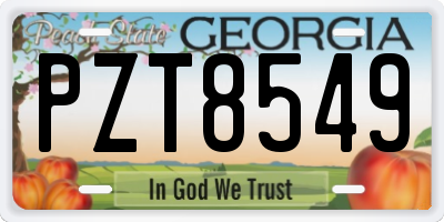 GA license plate PZT8549