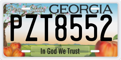 GA license plate PZT8552