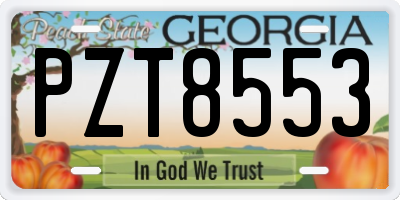 GA license plate PZT8553