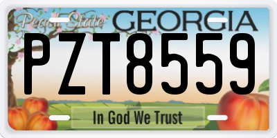 GA license plate PZT8559