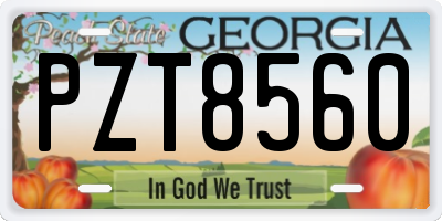 GA license plate PZT8560