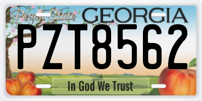 GA license plate PZT8562