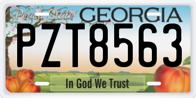 GA license plate PZT8563