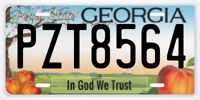 GA license plate PZT8564