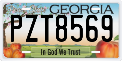 GA license plate PZT8569