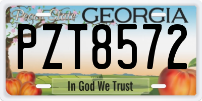 GA license plate PZT8572