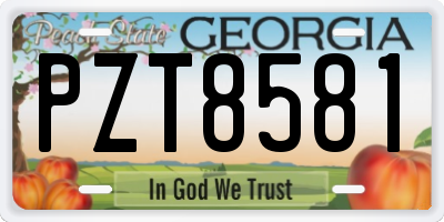 GA license plate PZT8581