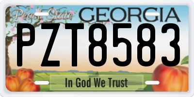 GA license plate PZT8583