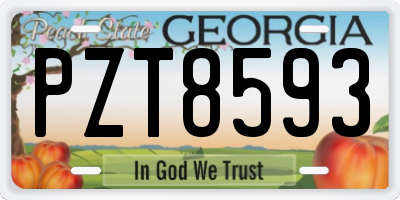 GA license plate PZT8593