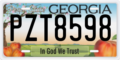 GA license plate PZT8598