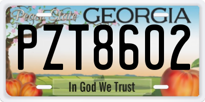 GA license plate PZT8602