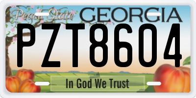 GA license plate PZT8604