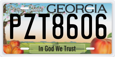 GA license plate PZT8606