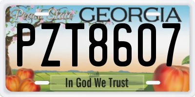 GA license plate PZT8607