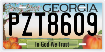 GA license plate PZT8609