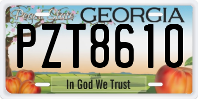 GA license plate PZT8610