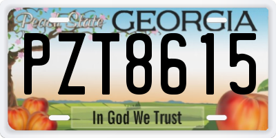 GA license plate PZT8615