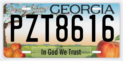 GA license plate PZT8616