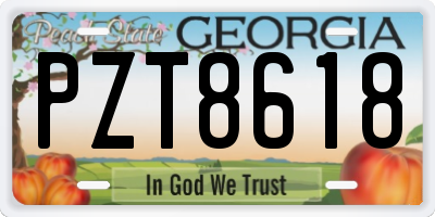 GA license plate PZT8618