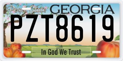 GA license plate PZT8619