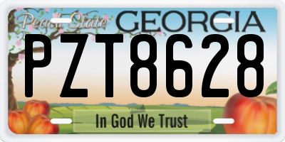 GA license plate PZT8628