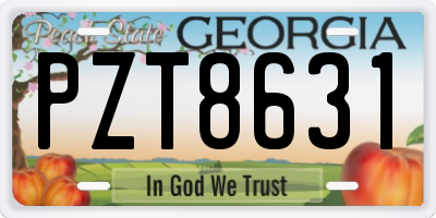 GA license plate PZT8631