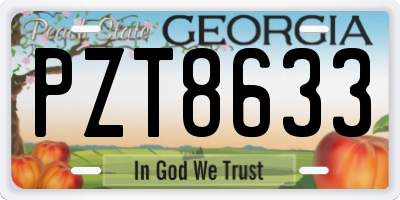 GA license plate PZT8633