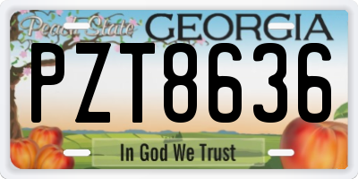GA license plate PZT8636
