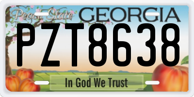 GA license plate PZT8638