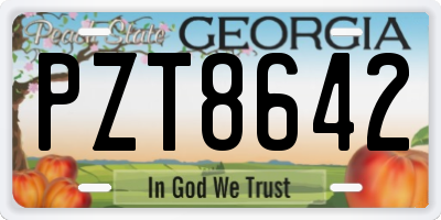 GA license plate PZT8642