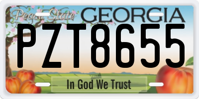 GA license plate PZT8655