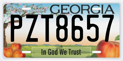 GA license plate PZT8657