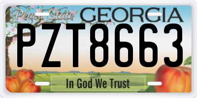 GA license plate PZT8663