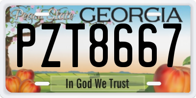 GA license plate PZT8667