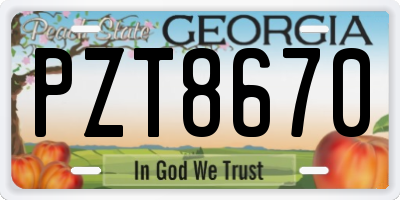 GA license plate PZT8670