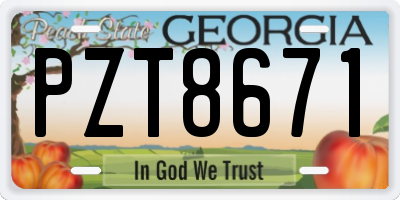 GA license plate PZT8671