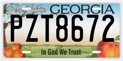 GA license plate PZT8672