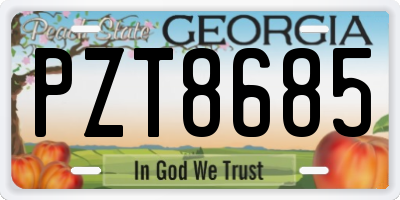 GA license plate PZT8685