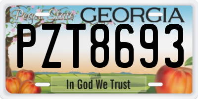 GA license plate PZT8693