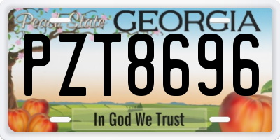GA license plate PZT8696