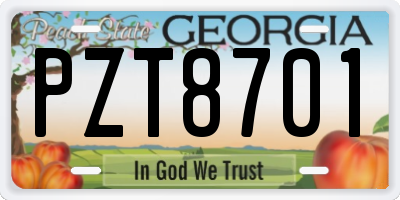 GA license plate PZT8701