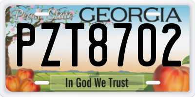 GA license plate PZT8702