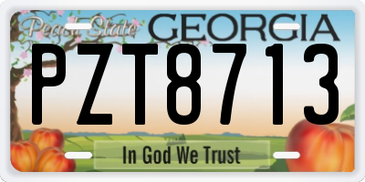 GA license plate PZT8713