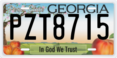 GA license plate PZT8715