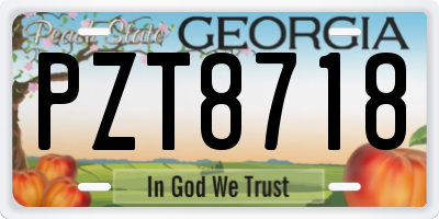 GA license plate PZT8718