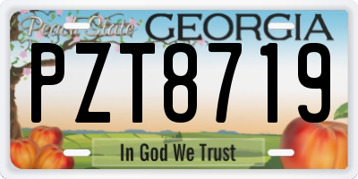 GA license plate PZT8719