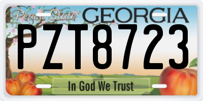 GA license plate PZT8723
