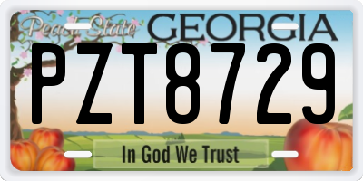 GA license plate PZT8729